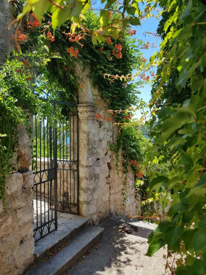Villa Palmera Dubrovnik Exterior foto